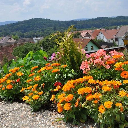 Gasthof Adler Guettingen Guttingen Exteriör bild